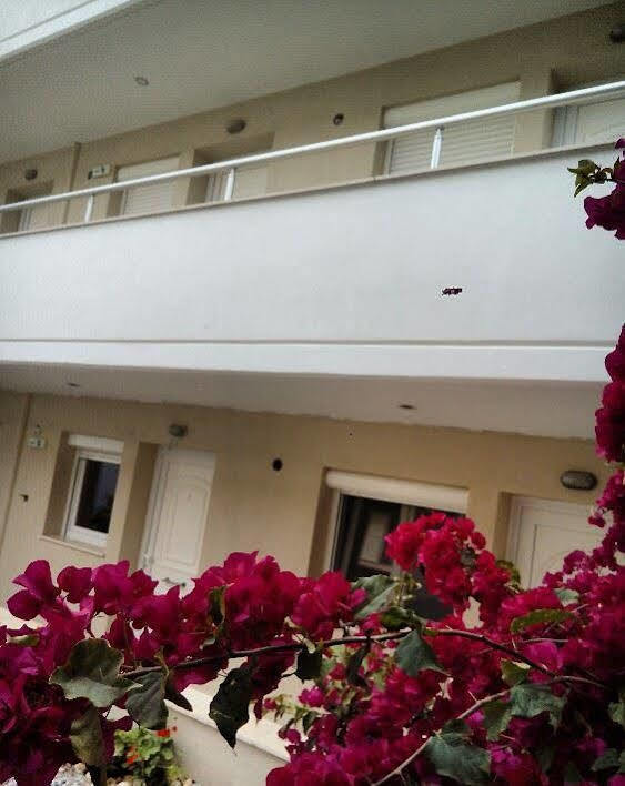 Rodon Loutra Apartment Agia Paraskevi  Exterior foto